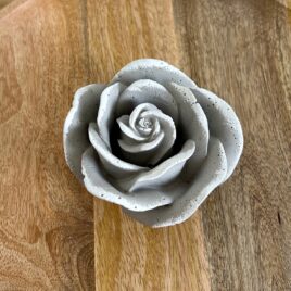 Betonrose gross